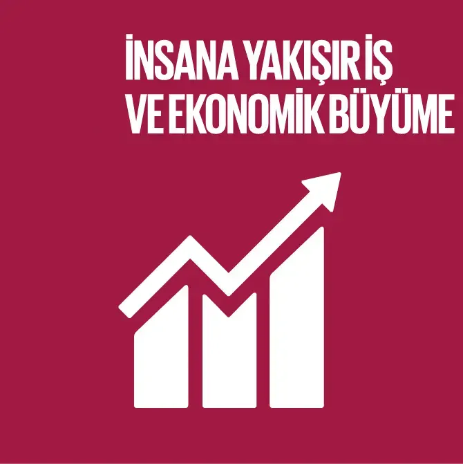 İnsana Yakışır İş ve Ekonomik Büyüme