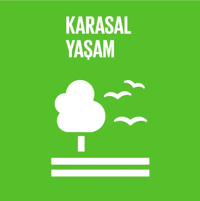 Karasal Yaşam