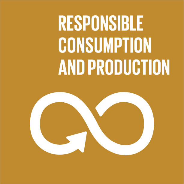 Responsible Consumption And Production