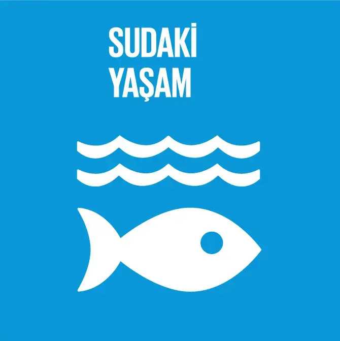 Sudaki Yaşam