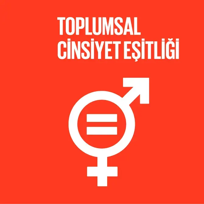 Toplumsal Cinsiyet Eşitliği