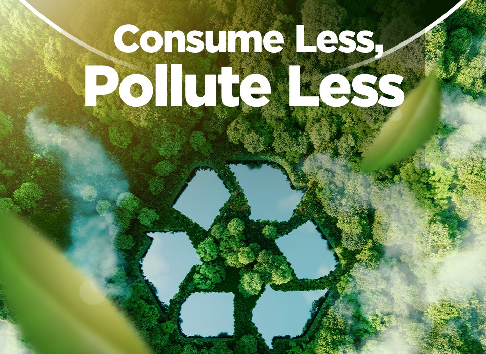 Consume Less, Pollute Less